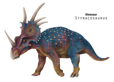 Styracosaurus illustration. Dinosaur with horns. Brown, blue dino