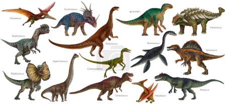 Juego de dinosaurios. Ilustración de Dino. Carnívoros y herbívoros. Allosaurus, Elasmosaurus, Compsognathus, Iguanodon, Plateosaurus, Spinosaurus, Pterodactyl, Ankylosaurus