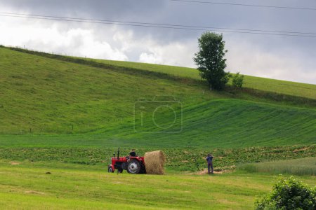 Téléchargez les photos : Été sur Kashubia : paysage pastoral avec des agriculteurs rassemblant foin avec tracteur sur le terrain - en image libre de droit
