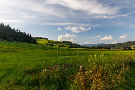 Téléchargez les photos : : Green Meadows sur les collines de la région de Spisz, Pologne - en image libre de droit