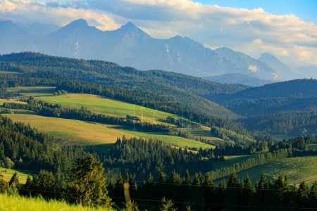 Téléchargez les photos : Région de Spisz : prairies vertes sur les collines en face des montagnes Tatra - en image libre de droit