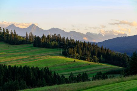 Téléchargez les photos : Région de Spisz : prairies vertes et forêt sur les collines en face des montagnes Tatra - en image libre de droit