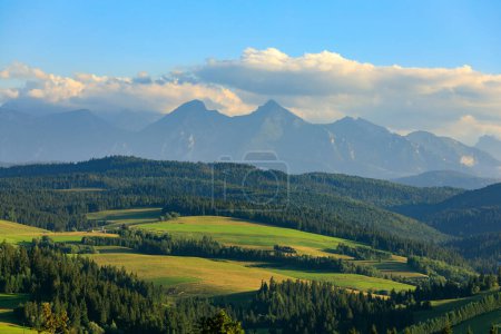 Téléchargez les photos : Région de Spisz : prairies vertes sur les collines en face des montagnes Tatra - en image libre de droit