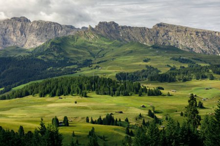 Téléchargez les photos : Concept de voyage et vacances. Montagnes Alpe di Suisi au Tyrol du Sud, Italie. - en image libre de droit