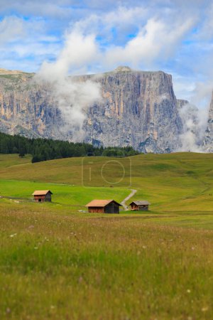 Téléchargez les photos : Cabanes dans l'allée des montagnes de l'Alpe di Suisi au Tyrol du Sud, Italie. - en image libre de droit
