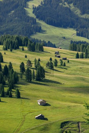 Téléchargez les photos : Cabanes dans l'allée des montagnes de l'Alpe di Suisi au Tyrol du Sud, Italie. - en image libre de droit