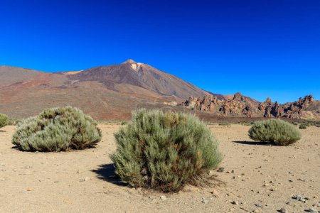 Téléchargez les photos : Vue du volcan depuis le désert près de Llano de Ucanca à Tenerife, Espagne - en image libre de droit
