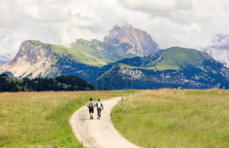 Téléchargez les photos : Couple de touristes marchant dans le evalley des montagnes de l'Alpe di Suisi au Tyrol du Sud, Italie. - en image libre de droit