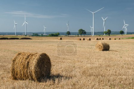 Téléchargez les photos : Green energy and agriculture: field with heaps of hay and wind turbines - en image libre de droit