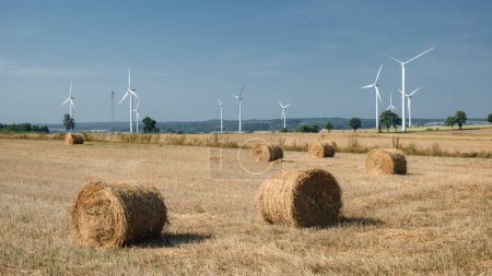 Téléchargez les photos : Green energy and agriculture: field with heaps of hay and wind turbines - en image libre de droit