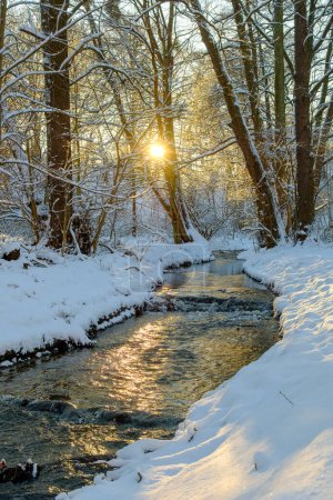 Téléchargez les photos : Rayonnement givré : Soirée d'hiver sur la rivière Kacza à Gdynia Orlowo - en image libre de droit