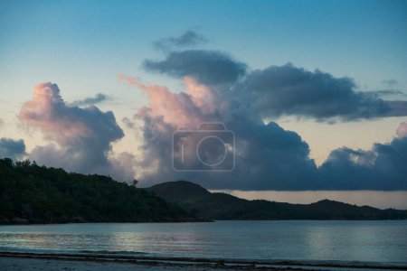 Téléchargez les photos : Une jungle tropicale sur la côte seychelloise à la lumière du soleil couchant. - en image libre de droit