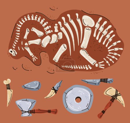 Illustration for Dinosaur fossil paleontology skeleton archeology jurassic ancient concept. Vector flat graphic design illustration - Royalty Free Image