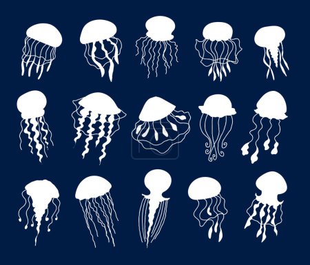 Foto de Medusa medusa medusa gelatina marina animal submarino fauna marina aislado conjunto. ilustración de diseño gráfico plano vectorial - Imagen libre de derechos