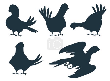 Foto de Conjunto de sombra decorativa de silueta de pájaro. ilustración de diseño gráfico plano vectorial - Imagen libre de derechos