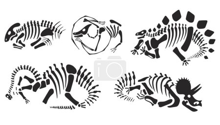 Foto de Dinosaurio esqueleto fósil silueta animal cráneo aislado conjunto. ilustración de diseño gráfico plano vectorial - Imagen libre de derechos