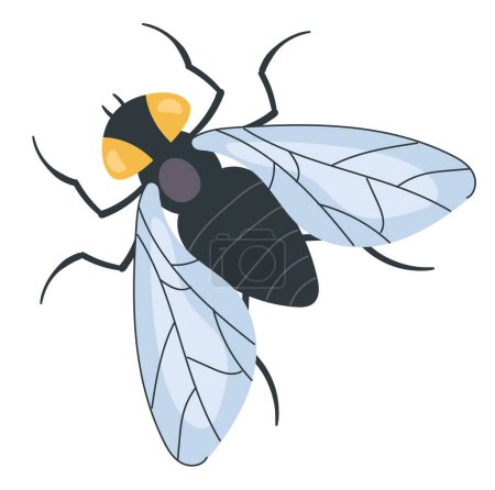 Foto de Mosca insecto insecto concepto aislado. ilustración de diseño gráfico plano vectorial - Imagen libre de derechos