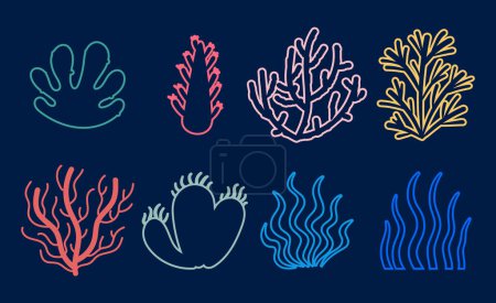 Téléchargez les illustrations : Algue algue marine plante marine récif aquatique ensemble isolé. Illustration graphique vectorielle plate - en licence libre de droit
