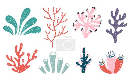 Illustration for Seaweed alga marine sea plant aquatic reef isolated set. Vector flat graphic design illustration - Royalty Free Image