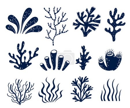Illustration for Seaweed alga marine sea plant aquatic reef isolated set. Vector flat graphic design illustration - Royalty Free Image