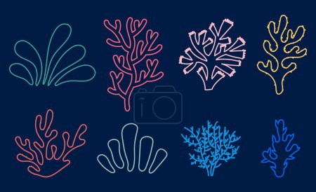 Foto de Algas marinas alga marina planta marina arrecife acuático conjunto aislado. ilustración de diseño gráfico plano vectorial - Imagen libre de derechos