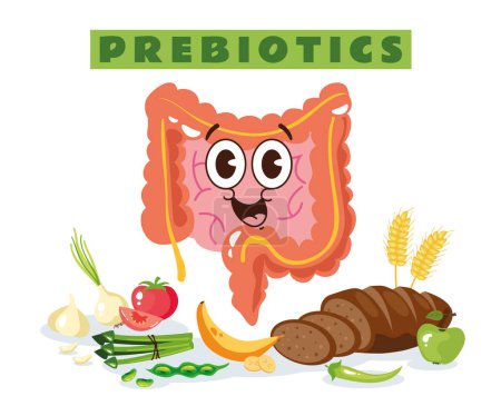 Foto de Concepto de infografías vectoriales de alimentos ricos fermentados probióticos. Vector dibujo animado diseño gráfico elemento ilustración - Imagen libre de derechos