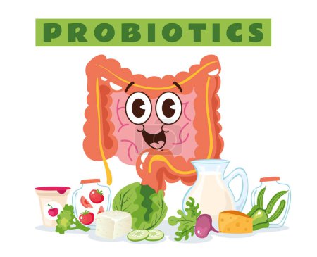 Ilustración de Concepto de infografías vectoriales de alimentos ricos fermentados probióticos. Vector dibujo animado diseño gráfico elemento ilustración - Imagen libre de derechos