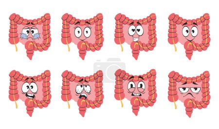 Téléchargez les illustrations : Mascotte de caractère mignon intestins organe digest ensemble isolé. Illustration graphique vectorielle - en licence libre de droit