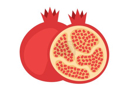 Illustration for Pomegranate half and whole isolated on white background. Vector design graphic illustration - Royalty Free Image