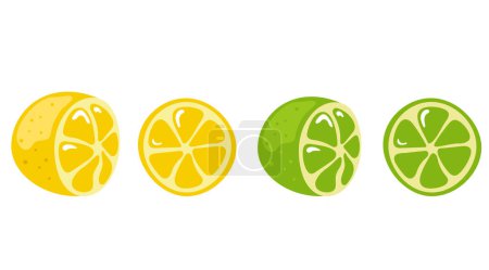 Limón y lima entera y media fruta aislada sobre fondo blanco. Ilustración de diseño gráfico vectorial