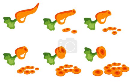 Illustration for Cutting chopped carrot slice isolated set. Vector graphic design illustration element - Royalty Free Image