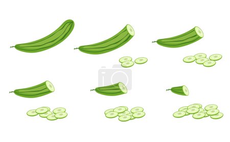 Téléchargez les illustrations : Couper la tranche de concombre haché ensemble isolé. Élément vectoriel illustration graphique - en licence libre de droit