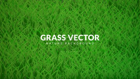 Téléchargez les illustrations : Texture de fond d'herbe verte. Conception vectorielle de fichier Eps - en licence libre de droit