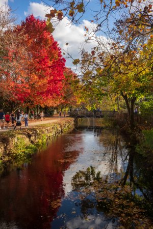 Téléchargez les photos : Lambertville, NJ, USA - 5 nov. 2022 : Les visiteurs empruntent les sentiers du Delaware Canal Trail lors d'une chaude journée d'automne alors que les arbres montrent leur feuillage d'automne. - en image libre de droit