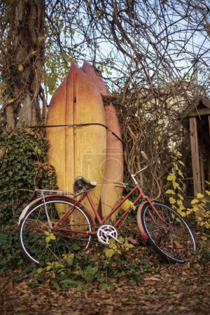Téléchargez les photos : Un vélo rouge vintage et deux planches à pagaie jaune et orange reposent sur un arbre et une clôture en bois lors d'une chaude journée d'automne avec des feuilles tombées au sol au crépuscule. - en image libre de droit