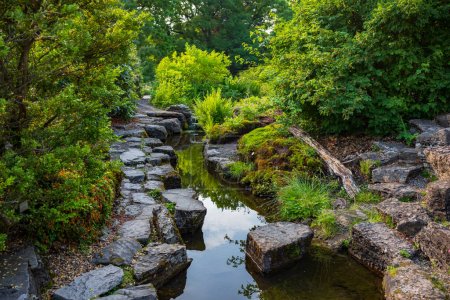 Botanisk hage is Norway's oldest botanical garden, a free Oslo oasis and a great place to escape the noise of the city.  Water garden featuring water lilys and waterfalls. 