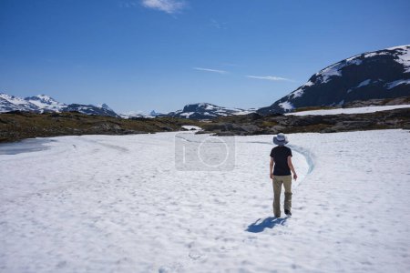 Téléchargez les photos : Parc national de Jotunheimen, Norvège, 25 juin 2023 : Vue sur les glaciers depuis la route Sognefjellsveien, la plus haute route de montagne d'Europe du Nord. - en image libre de droit