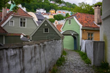 Téléchargez les photos : Une ruelle en pavé, située dans un quartier résidentiel de Bergen, en Norvège, photographiée lors d'une journée nuageuse d'été, avec une mouette reposant sur un mur. - en image libre de droit