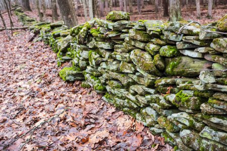 The Woodbourne Forest and Wildlife Preserve just south of Montrose, Pennsylvania, photographed during a cloudy winter day. An old stone wall made by farmers to separate properties. 