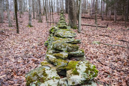 Das Woodbourne Forest and Wildlife Preserve südlich von Montrose, Pennsylvania, aufgenommen an einem bewölkten Wintertag. Eine alte Steinmauer, die von Bauern gebaut wurde, um Grundstücke voneinander zu trennen. 