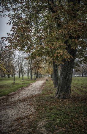 Photo for A path in the Park of dr Franje Tudjmana in Zagreb in the autumn - Royalty Free Image
