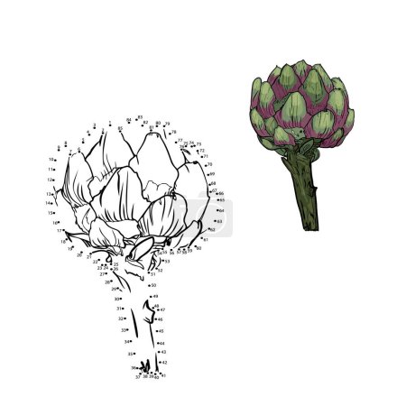 Ilustración de Dibuja punto por punto. Colorea las alcachofas por número. Colorear verduras y frutas. Libro para colorear - Imagen libre de derechos