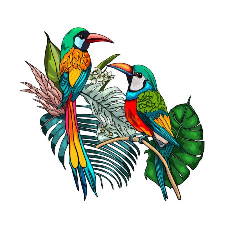 Téléchargez les illustrations : Oiseau isolé de couleur vive. Illustration oiseau de paradis sur fond blanc. - en licence libre de droit
