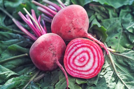 Photo for Red and white beetroot - raw beetroots with green leaves and one cut in half with red rings in white flesh - Royalty Free Image