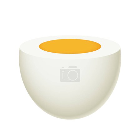 Foto de Medio huevo, clara y yema - huevo pelado y cortado en rodajas - ilustración vectorial aislada sobre fondo blanco - Imagen libre de derechos