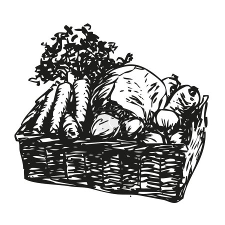Foto de Cesta de verduras - verduras en una cesta de mimbre, ilustración vectorial en blanco y negro - Imagen libre de derechos