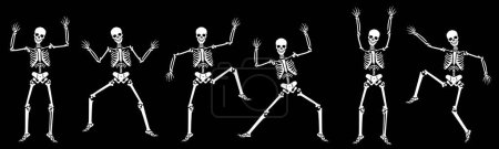 Ensemble de squelettes Halloween sur fond noir gros plan.