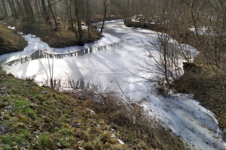 Der Frühling ist da. die letzten Tage der Winterlandschaft im Wald von Litovelske pomoravi, Tschechien