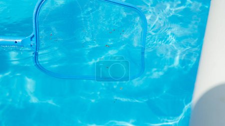 Photo for CLOSE UP: Plastic pool skimmer cleans up tiny leaves from the glassy pool water. Unrecognizable pool cleaner uses a leaf net during seasonal maintenance works. Person cleaning pool in the backyard - Royalty Free Image