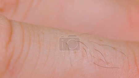 Téléchargez les photos : MACRO, DOF: Detailed close up shot of an unrecognizable man's hairy knuckles. Focused macro view of a male's fingers with rugged skin and black hair. Male fingers and knuckles viewed from up close. - en image libre de droit
